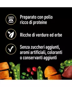 CESAR - UMIDO PER CANI POLLO, PATATE E PISELLI 400 GR
